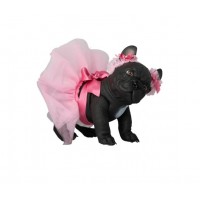 Lily la bulldog tutu rosa